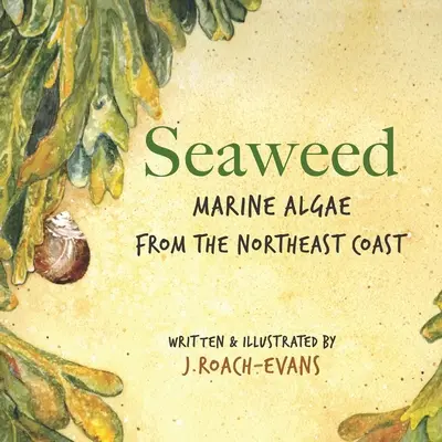 Wodorosty: Algi morskie z wybrzeża północno-wschodniego - Seaweed: Marine Algae from the Northeast Coast