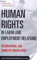 Prawa człowieka w stosunkach pracy i zatrudnienia: Perspektywy międzynarodowe i krajowe - Human Rights in Labor and Employment Relations: International and Domestic Perspectives