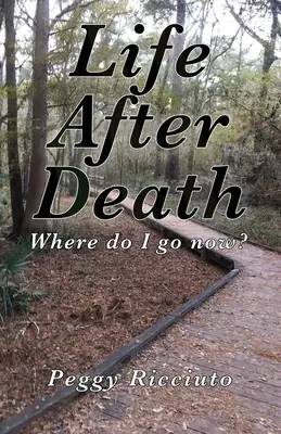 Życie po śmierci: Dokąd teraz pójdę? - Life After Death: Where do I go now
