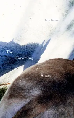 Nienazwanie Aliassa - The Unnaming of Aliass