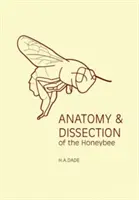 Anatomia i sekcja pszczoły miodnej - Anatomy and Dissection of the Honeybee
