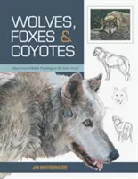 Wilki, lisy i kojoty (podstawy malarstwa dzikich zwierząt) - Wolves, Foxes & Coyotes (Wildlife Painting Basics)