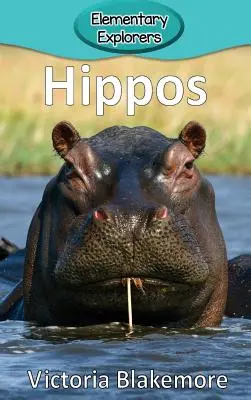 Hipopotamy - Hippos
