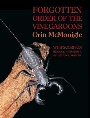 Zapomniany zakon winniczków: Biologia, hodowla i historia naturalna skorpionów biczowych - Forgotten Order of the Vinegaroons: Whipscorpion Biology, Husbandry, and Natural History