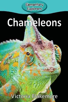 Kameleony - Chameleons