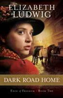 Mroczna droga do domu - Dark Road Home