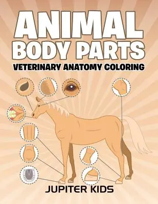Części ciała zwierząt: Kolorowanka z anatomią weterynaryjną - Animal Body Parts: Veterinary Anatomy Coloring