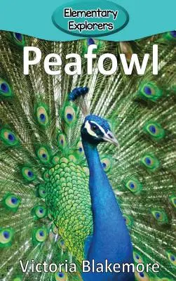 Pawie - Peafowl