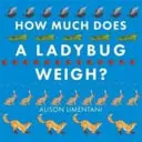 Ile waży biedronka? - How Much Does a Ladybird Weigh?