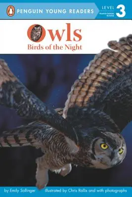 Sowy: Ptaki nocy - Owls: Birds of the Night