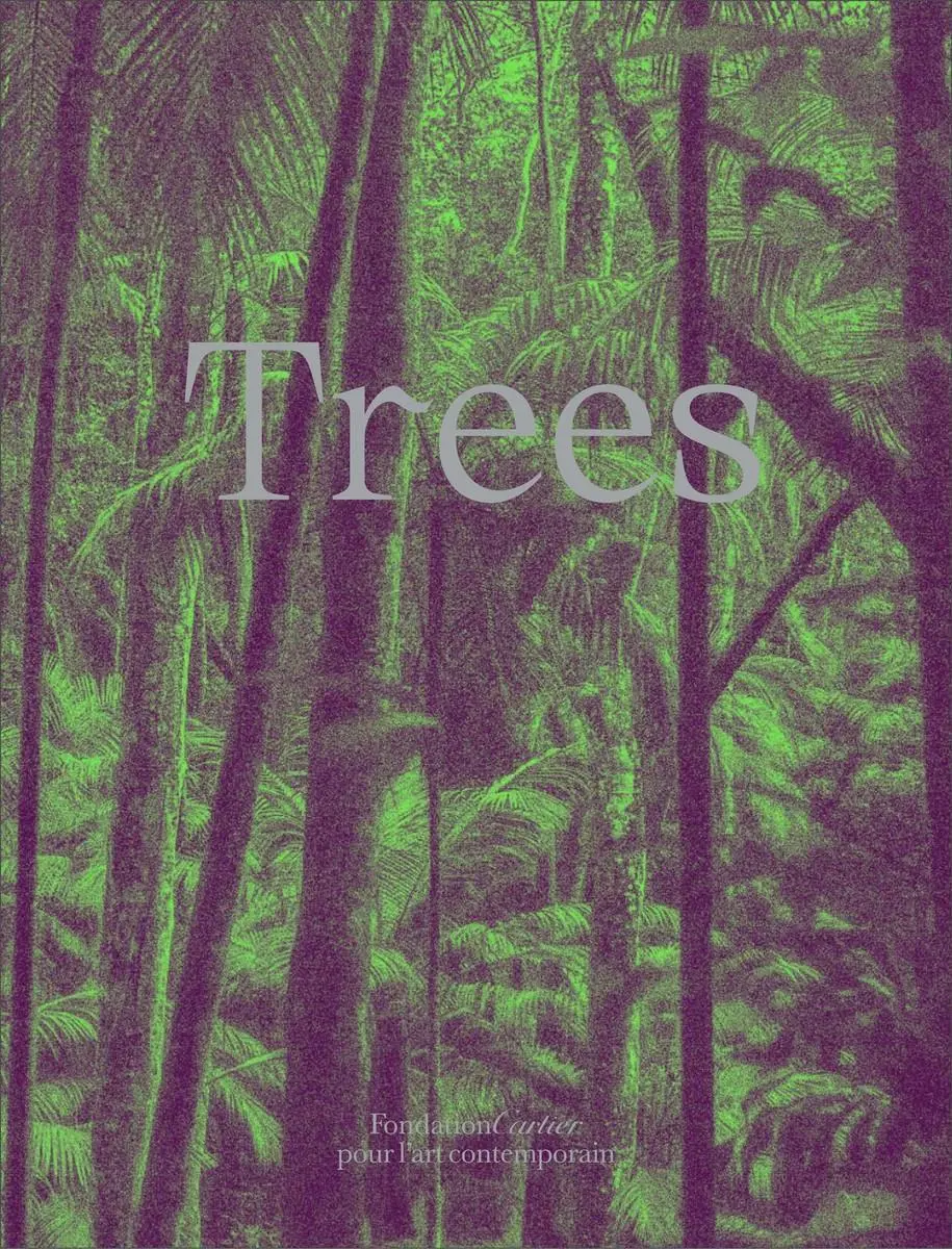 Drzewa - Trees