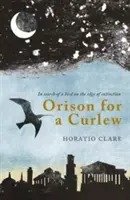 Orison for a Curlew: W poszukiwaniu ptaka na skraju wyginięcia - Orison for a Curlew: In Search for a Bird on the Edge of Extinction