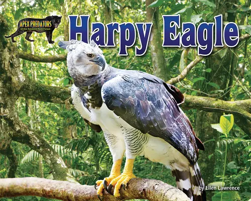 Orzeł Harpia - Harpy Eagle