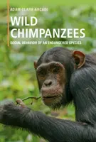 Dzikie szympansy: Zachowania społeczne zagrożonych gatunków - Wild Chimpanzees: Social Behavior of an Endangered Species
