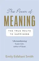 Power of Meaning - prawdziwa droga do szczęścia - Power of Meaning - The true route to happiness