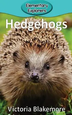 Jeże - Hedgehogs