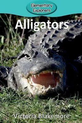 Aligatory - Alligators