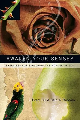 Obudź swoje zmysły: Ćwiczenia w odkrywaniu cudów Boga - Awaken Your Senses: Exercises for Exploring the Wonder of God