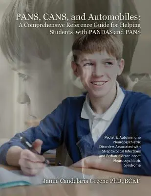 Patelnie, puszki i samochody: Kompleksowy przewodnik pomagający uczniom z pandami i patelniami - Pans, Cans, and Automobiles: A Comprehensive Reference Guide for Helping Students with Pandas and Pans