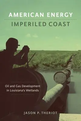 Amerykańska energia, zagrożone wybrzeże: Rozwój ropy i gazu na terenach podmokłych Luizjany - American Energy, Imperiled Coast: Oil and Gas Development in Louisiana's Wetlands