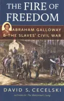 Ogień wolności: Abraham Galloway i wojna domowa niewolników - The Fire of Freedom: Abraham Galloway and the Slaves' Civil War