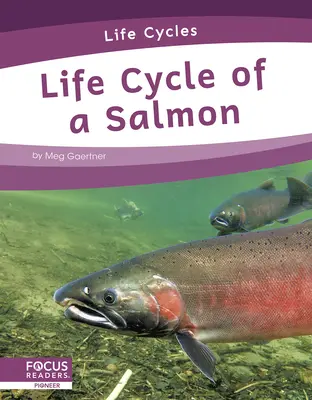 Cykl życia łososia - Life Cycle of a Salmon