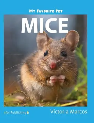 Moje ulubione zwierzątko: Myszy - My Favorite Pet: Mice