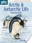 Kolorowanka Arktyka i Antarktyka, klasy 3-5 - Arctic and Antarctic Coloring Book, Grades 3-5