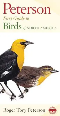 Ptaki Ameryki Północnej - Birds of North America