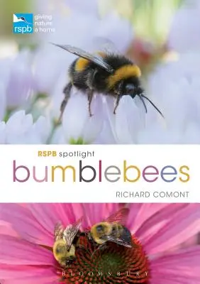 Trzmiele w centrum uwagi RSPB - RSPB Spotlight Bumblebees