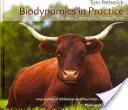 Biodynamika w praktyce: Życie na farmie należącej do społeczności - Biodynamics in Practice: Life on a Community Owned Farm