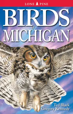 Ptaki Michigan - Birds of Michigan