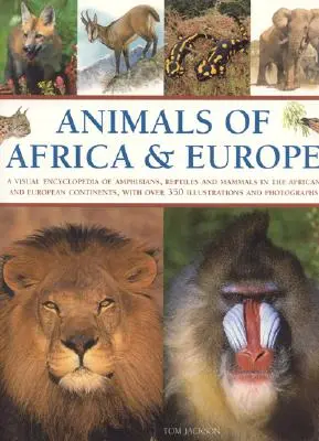 Zwierzęta Afryki i Europy: A Visual Encyclopedia of Amphibians, Reptiles and Mammals in the Asian and Australasian Continents, with Over 350 Illu - Animals of Africa and Europe: A Visual Encyclopedia of Amphibians, Reptiles and Mammals in the Asian and Australasian Continents, with Over 350 Illu