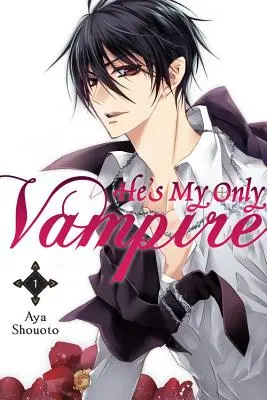 On jest moim jedynym wampirem, tom 1 - He's My Only Vampire, Volume 1