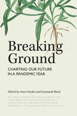 Przełom: Wytyczanie naszej przyszłości w roku pandemii - Breaking Ground: Charting Our Future in a Pandemic Year