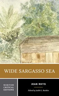 Szerokie Morze Sargassowe: Tło, Krytyka - Wide Sargasso Sea: Backgrounds, Criticism