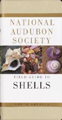 Przewodnik terenowy po muszlach Ameryki Północnej National Audubon Society - National Audubon Society Field Guide to North American Seashells