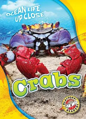 Kraby - Crabs