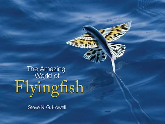 Niesamowity świat ryb latających - The Amazing World of Flyingfish