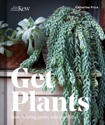 Get Plants: Jak wprowadzić zieleń do swojego życia - Get Plants: How to Bring Green Into Your Life