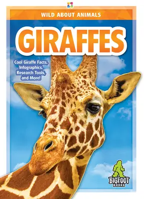 Żyrafy - Giraffes