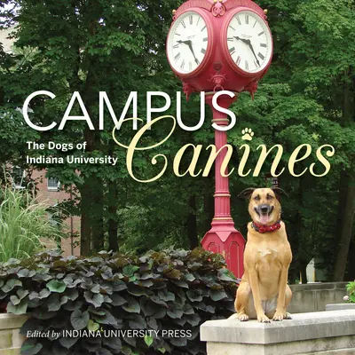 Campus Canines: Psy Uniwersytetu Indiana - Campus Canines: The Dogs of Indiana University