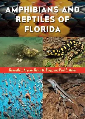 Płazy i gady Florydy - Amphibians and Reptiles of Florida