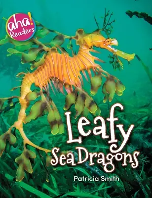 Liściaste smoki morskie - Leafy Sea Dragons