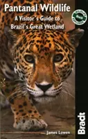 Bradt Pantanal Wildlife: A Visitor's Guide to Brazil's Great Wetland