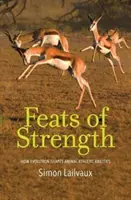 Wyczyny siły: jak ewolucja kształtuje zdolności atletyczne zwierząt - Feats of Strength: How Evolution Shapes Animal Athletic Abilities