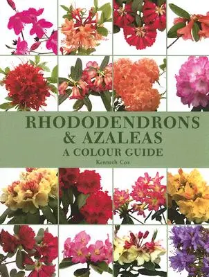 Rododendrony i azalie: Kolorowy przewodnik - Rhododendrons & Azaleas: A Colour Guide