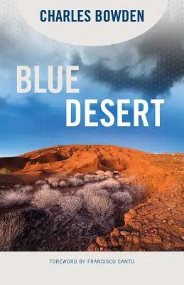 Niebieska pustynia - Blue Desert