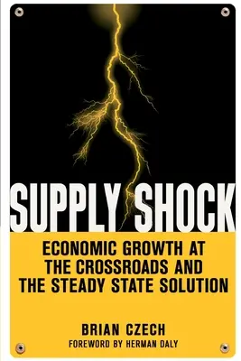 Szok podażowy: wzrost gospodarczy na rozdrożu i rozwiązanie stanu stabilnego - Supply Shock: Economic Growth at the Crossroads and the Steady State Solution