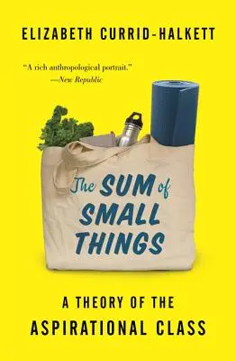 Suma małych rzeczy: Teoria klasy aspiracyjnej - The Sum of Small Things: A Theory of the Aspirational Class